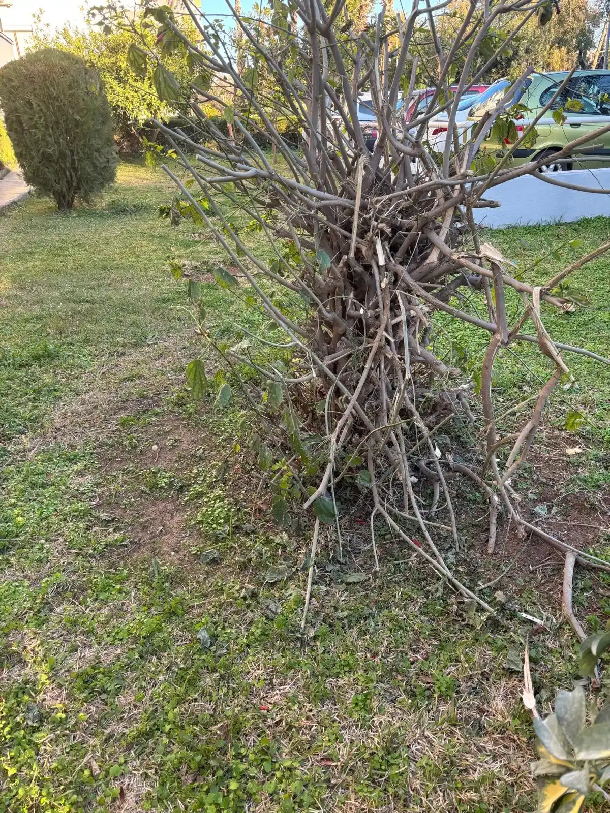 antalyanin-taninmis-tarihcisi-giray-ercenk-yogun-bakimda