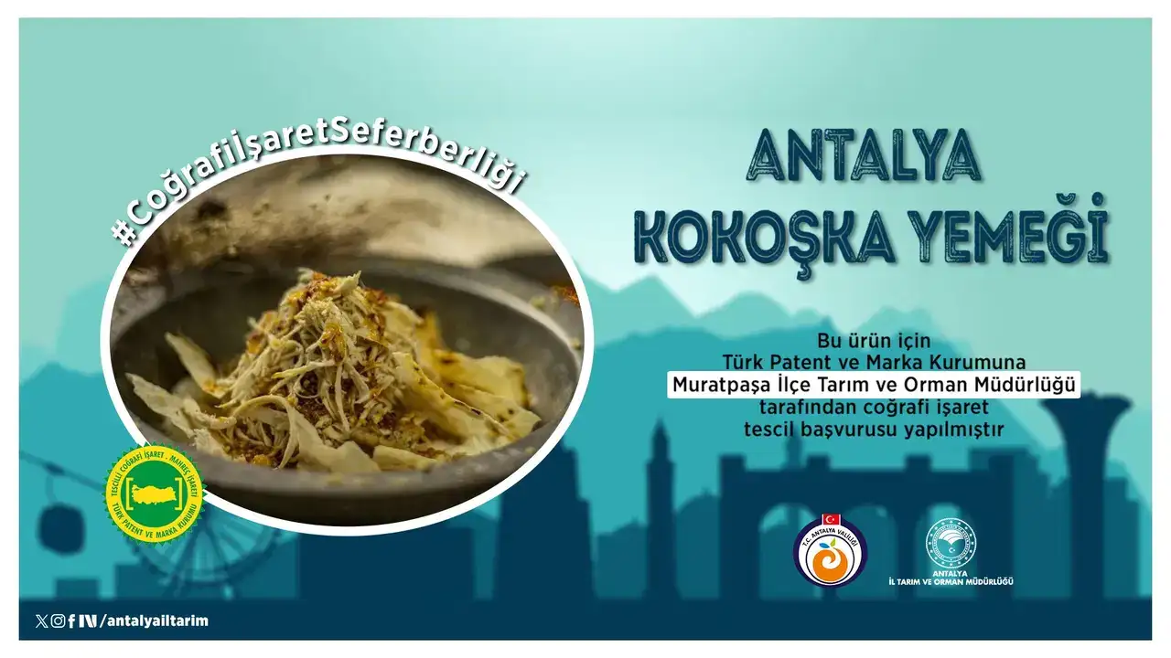 tavuk-yufka-ceviz-antalya-kokoska-yemegi-artik-tescil-yolunda