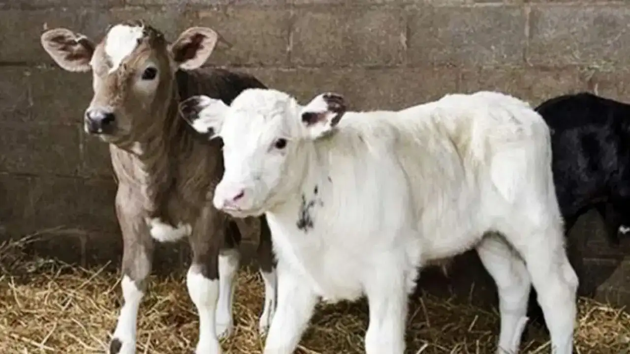 akdenizgercekicin-onemli-2