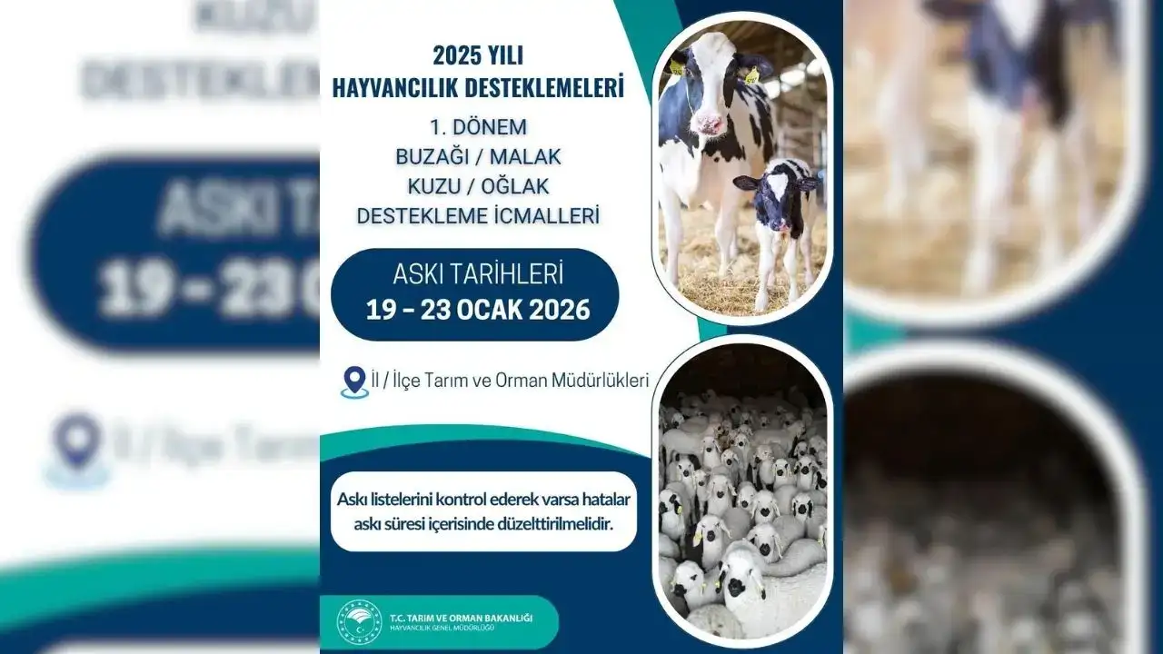 akdenizgercekicin-onemli4