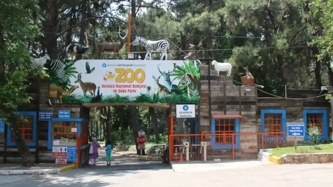 antalya-buyuksehir-belediyesi-dogal-yasamdaki-hayvanlari-satisa-cikardi
