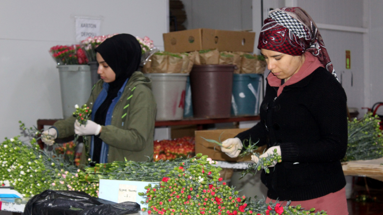 antalyada-cicek-acti-850-milyon-dalin-yuzde-75i-dunyada