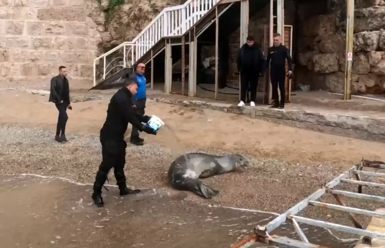 yunanistandan-kacti-antalya-sahilinde-dinlendi