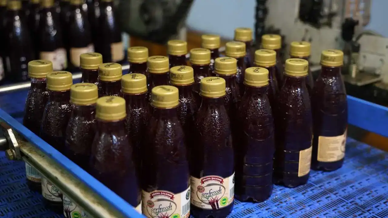 akdenizgercekadana-salgamina-3