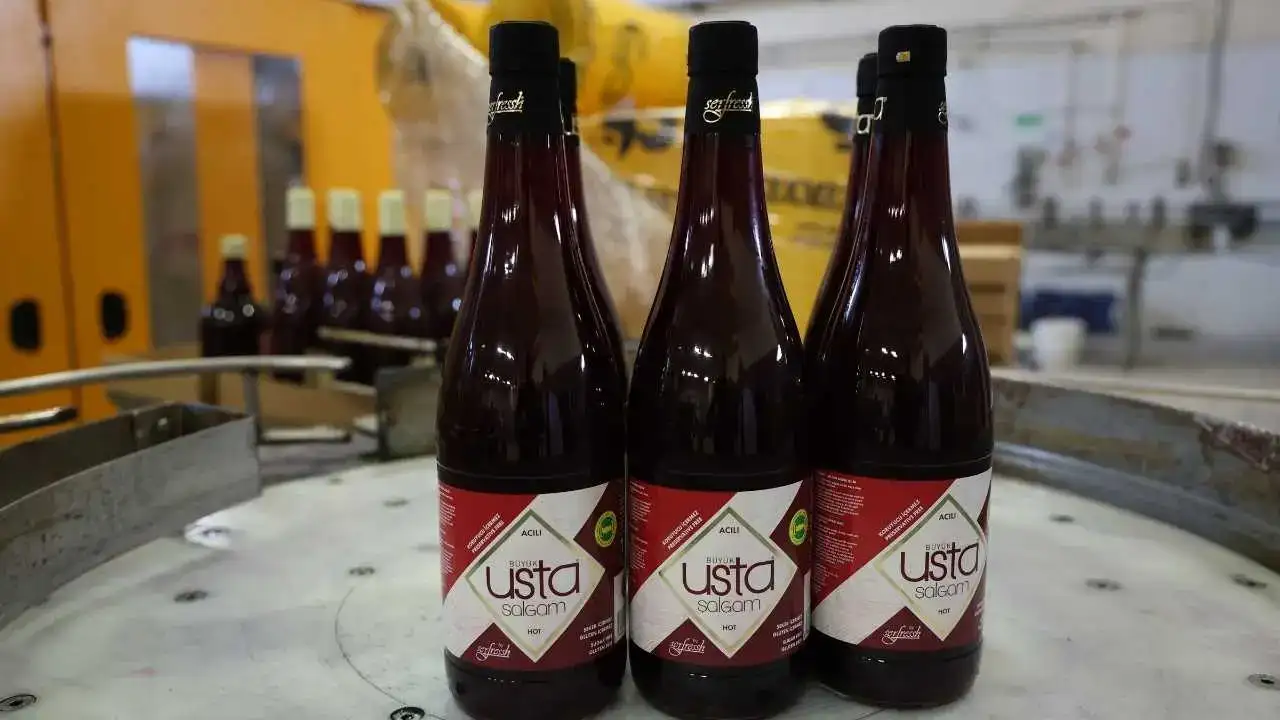 akdenizgercekadana-salgamina-4