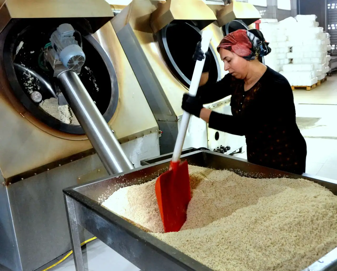 altin-susamin-altin-cagi