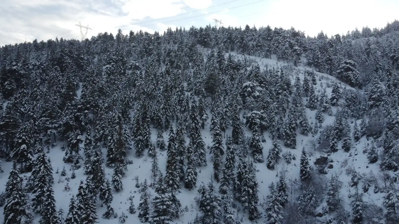 adananin-zirvesinde-masal-gibi-kis