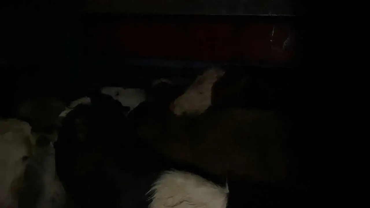 akdenizgercekragmen-sevkiyat-2