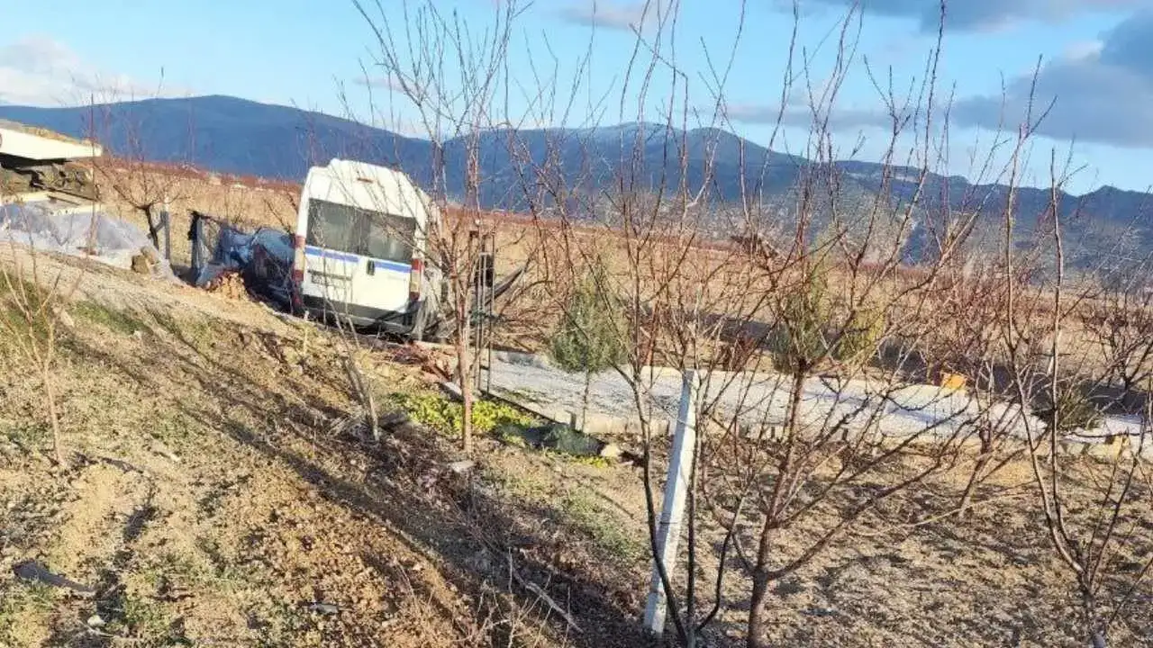 akdenizgercekevine-daldi2