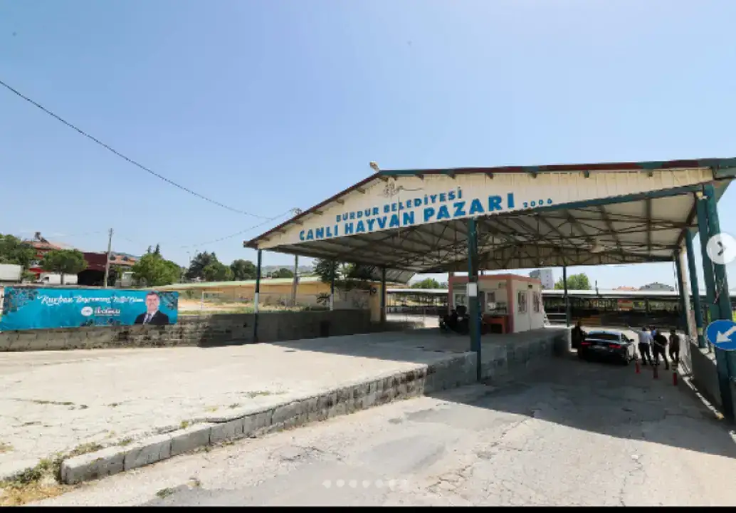 burdurda-sap-hastaligi-kontrol-altinda-hayvan-pazari-6-ay-sonra-acildi