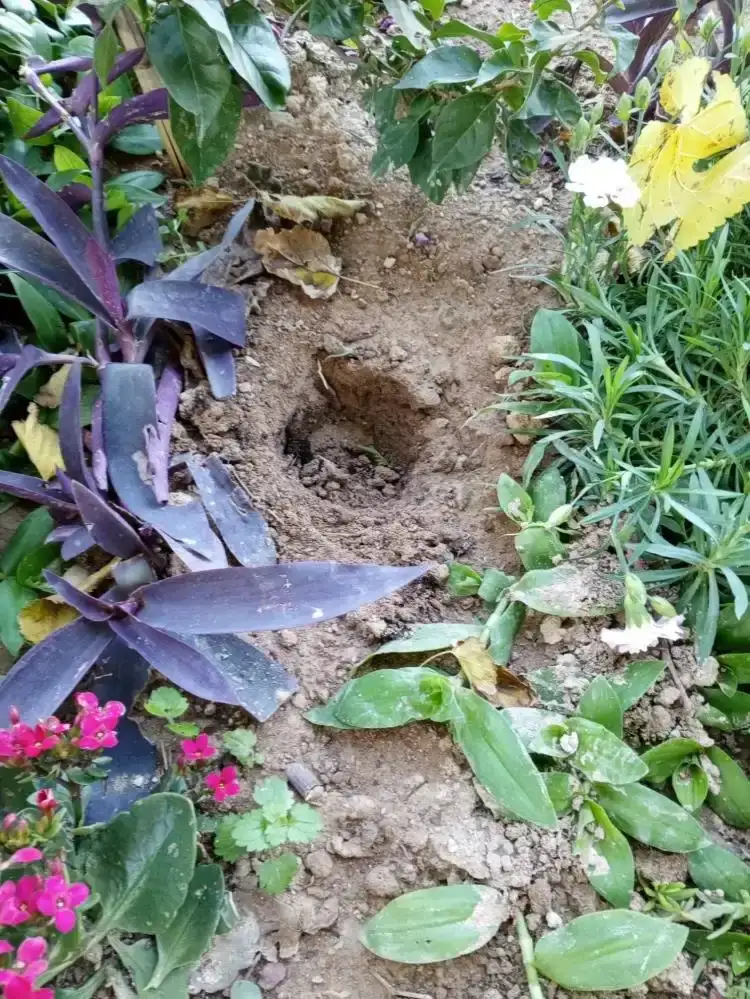 zeytinkoyde-uyusturucu-saticilari-mezarliga-sigindi-mahalleli-ayaklandi