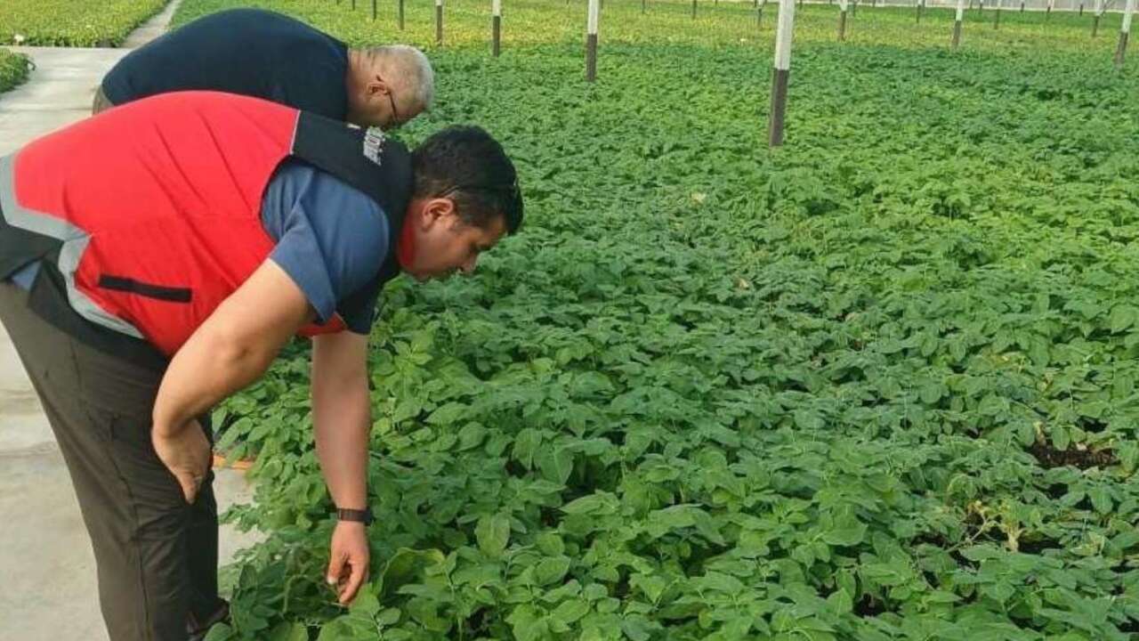 antalyada-gidada-ve-tarimda-taviz-yok