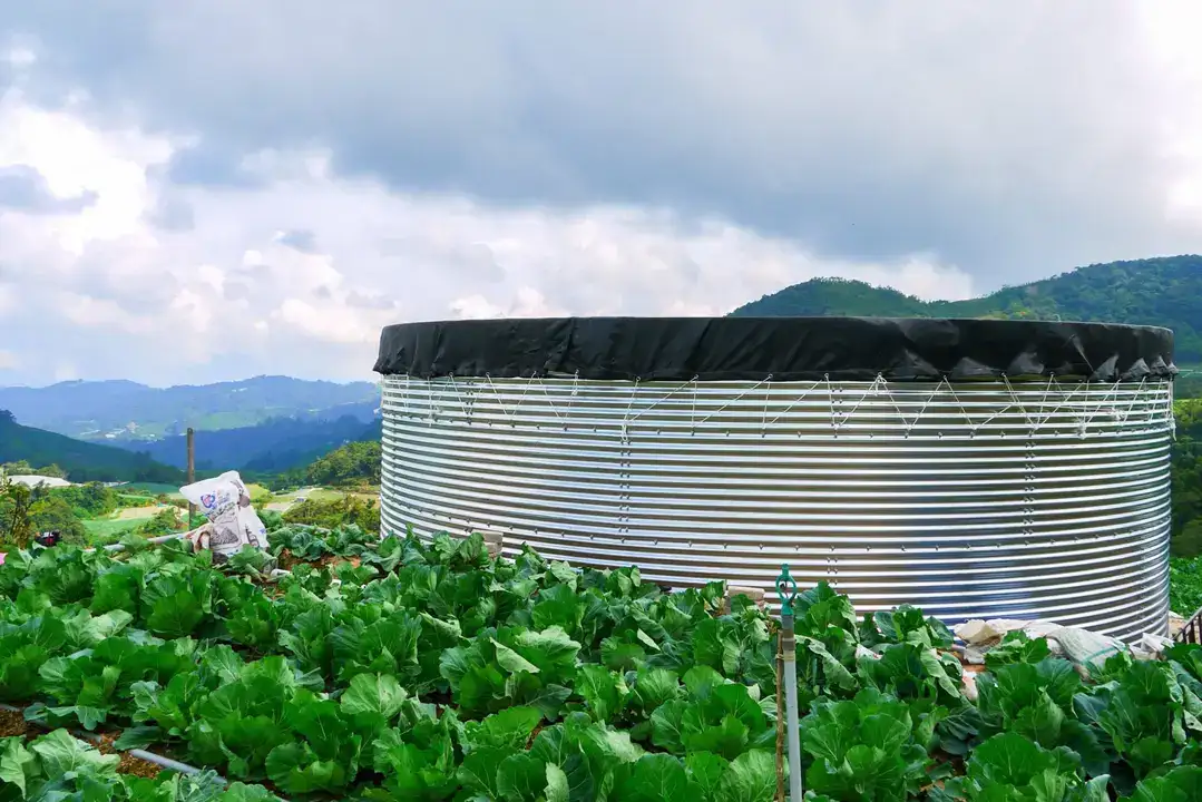 demrede-kadin-ciftci-yagmur-suyunu-biriktirdi-serasinda-mucizeyi-yasadi