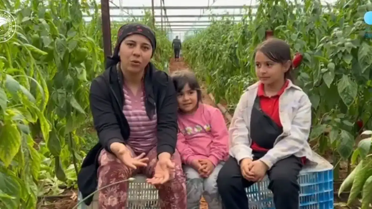 demrede-kadin-ciftci-yagmur-suyunu-biriktirdi-serasinda-mucizeyi-yasadi