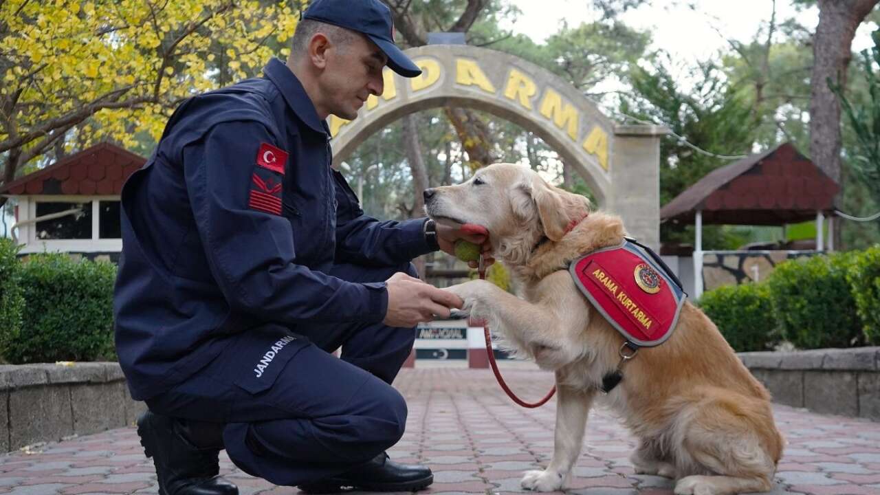 jak-kopeginden-hayata-dokunan-gorev