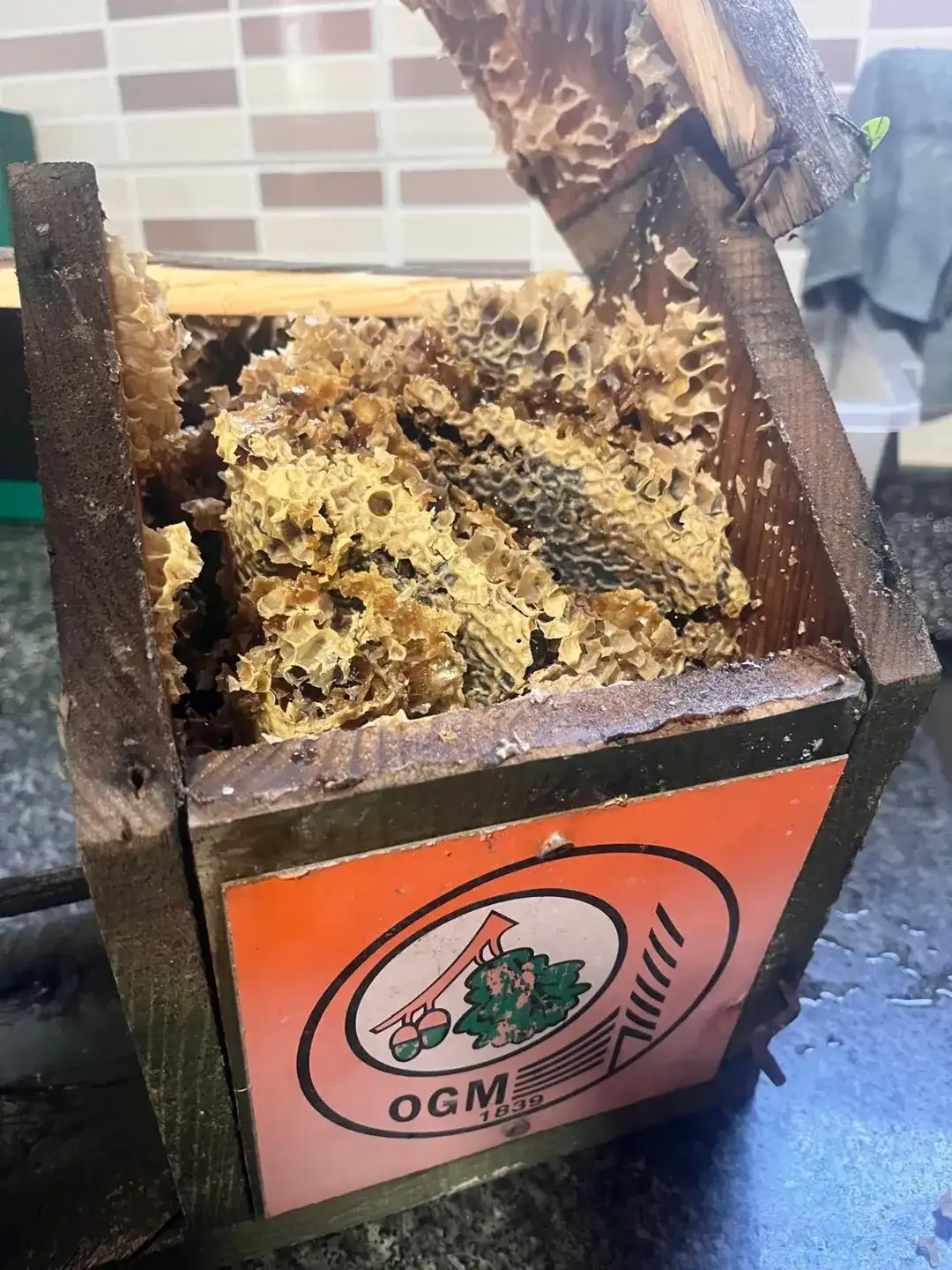 ormanin-surprizleri-bitmez-ekiplerimiz-tarafindan-ormanlara-asilan-kus-yuvalari-bu-kez