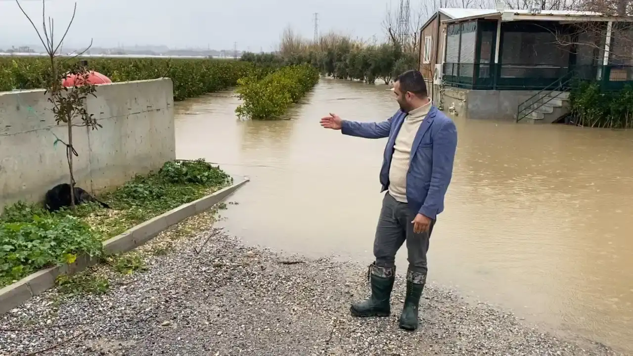 sel-sularinda-mahsur-kalan-4-kopek-is-makinesiyle-kurtarildi