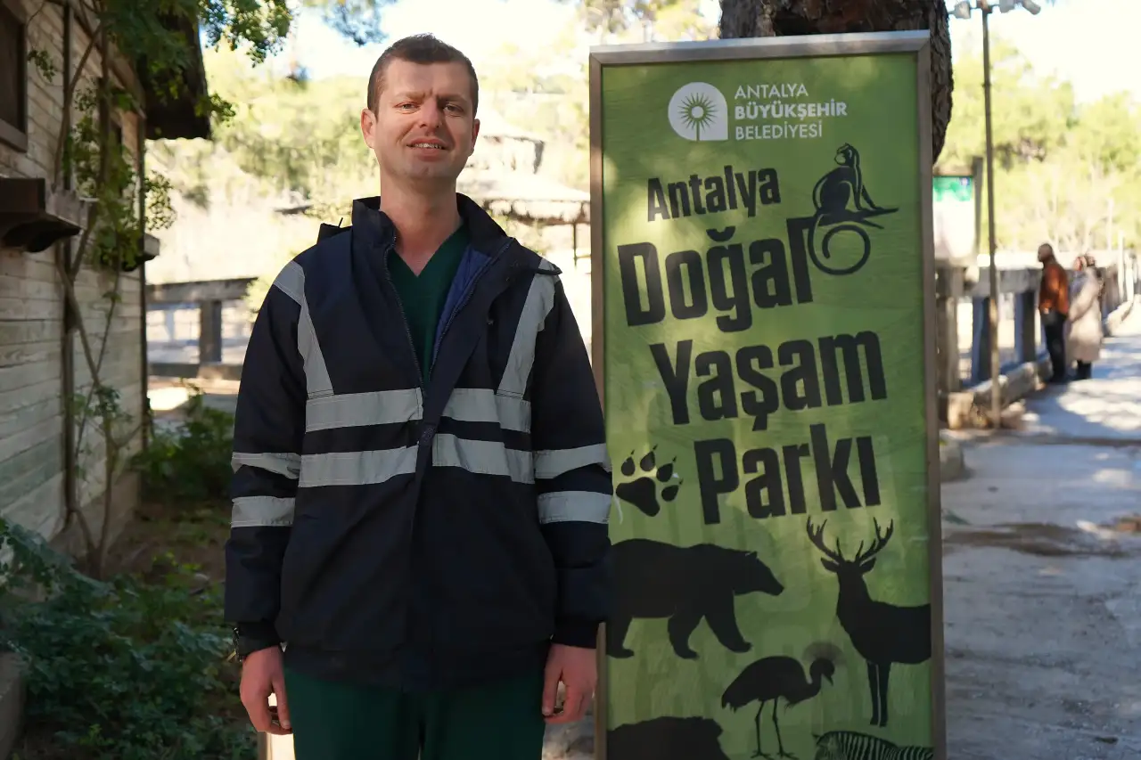 antalyada-sadik-kugular-kis-ortasinda-yavru-bekliyor