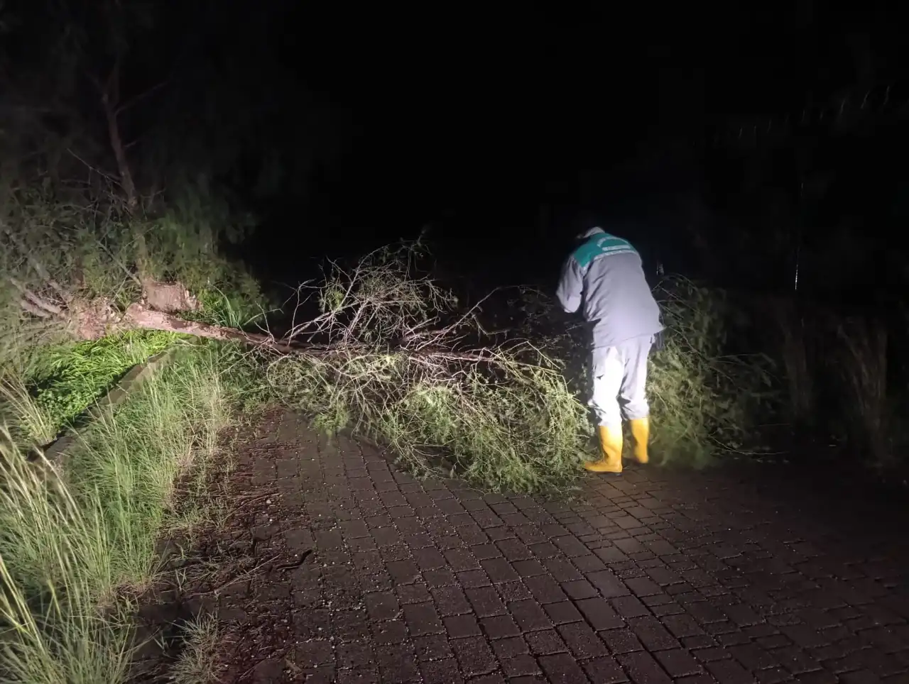 kemerde-firtinanin-etkilerini-azaltmak-icin-ekipler-seferber-oldu