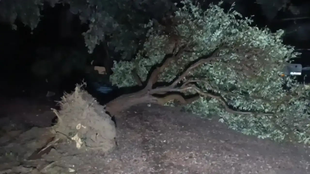 manavgati-hortum-vurdu-evlerin-catilar-uctu-seralar-yikildi