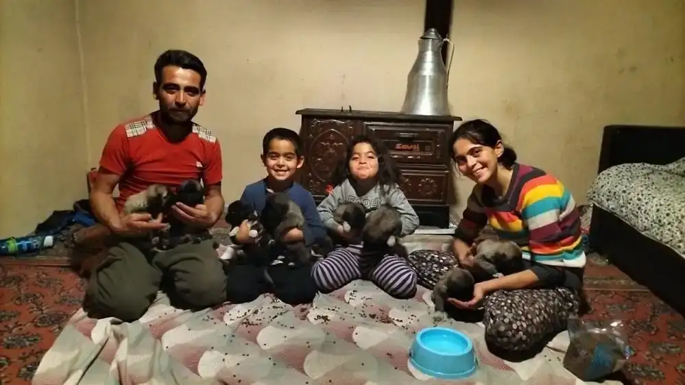 aksuda-hortumda-anne-kopek-oldu-bir-aile-yavrulara-sahip-cikti