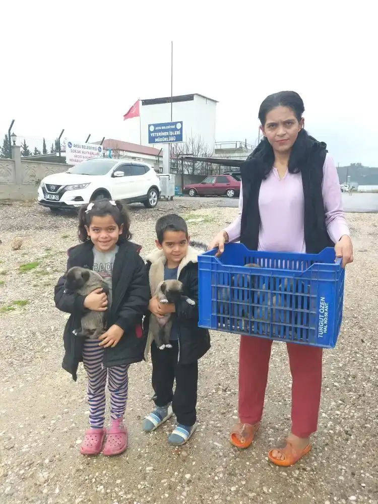 aksuda-hortumda-anne-kopek-oldu-bir-aile-yavrulara-sahip-cikti