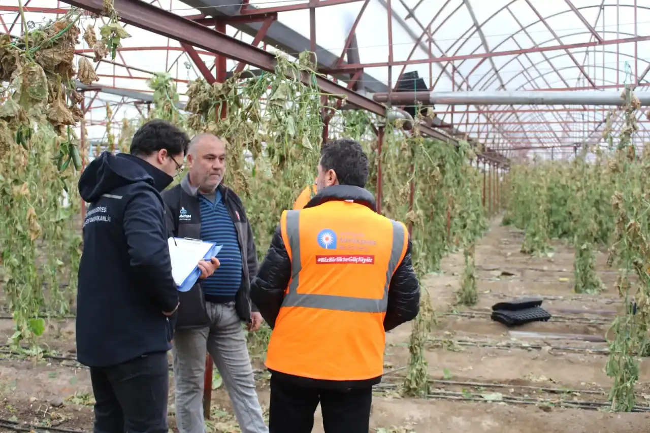 buyuksehir-finikede-afetin-izlerini-silmeye-calisiyor