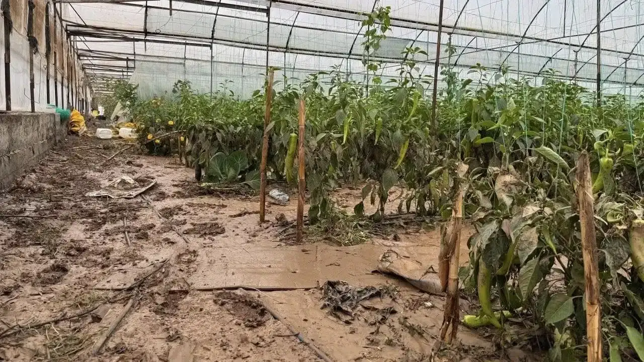 iyi-partili-poyrazdan-antalya-icin-afet-bolgesi-cagrisi-tbmmye-kanun-teklifi-verdi