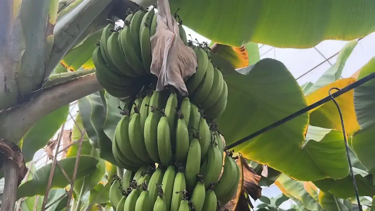 turkiyenin-ihtiyacini-tek-basina-sirtliyor