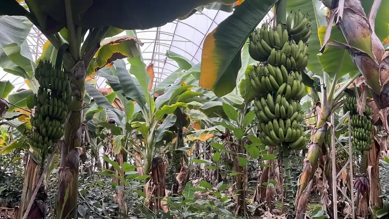 turkiyenin-ihtiyacini-tek-basina-sirtliyor