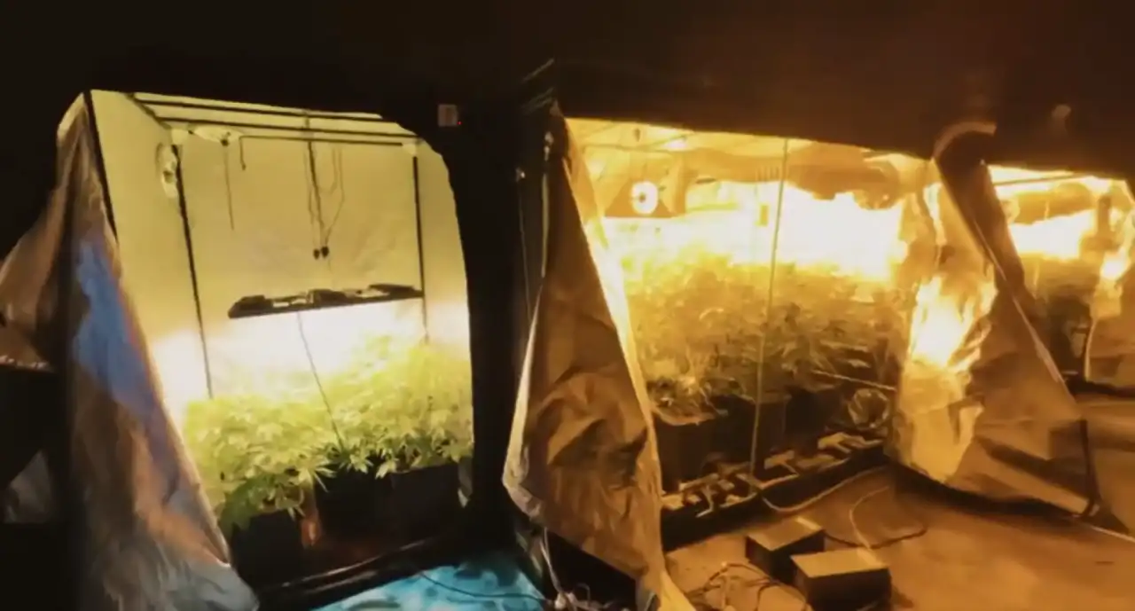 antalya-dahil-23-ilde-uyusturucu-operasyonu-milyonlarca-hap-ele-gecirildi