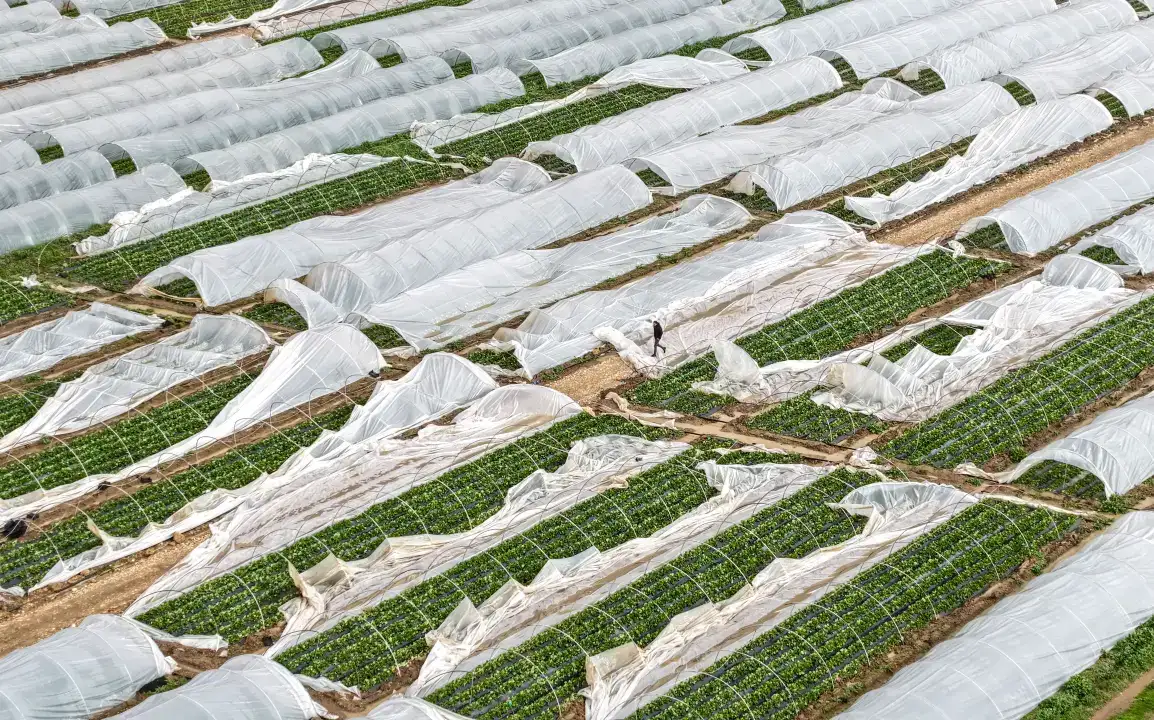 antalyada-hortum-ve-saganak-tarimi-vurdu