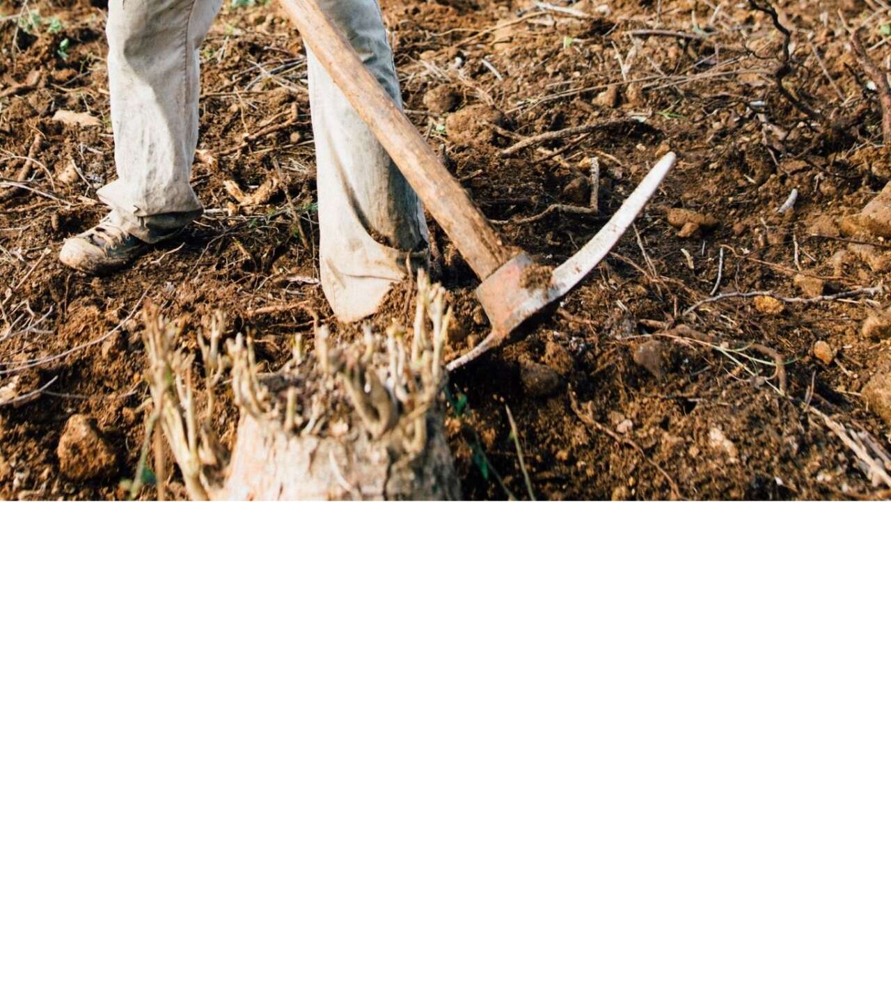 chpli-cosardan-tbmmye-kritik-uyar