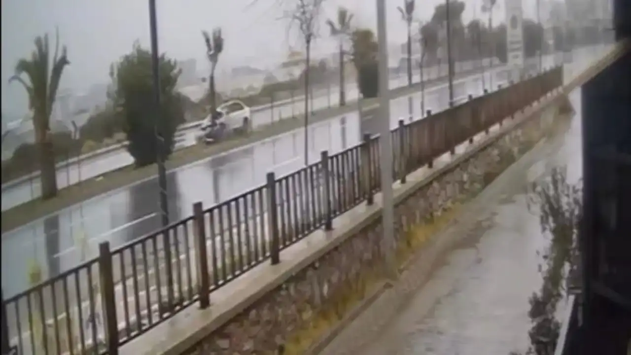 alanyada-yagmur-kazayi-getirdi-otomobil-agaca-carpip-takla-atti