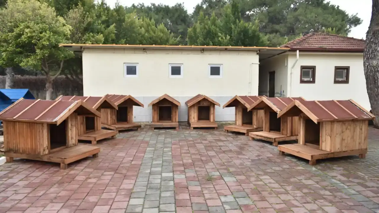 kepezin-patili-dostlarina-hayirsever-eli