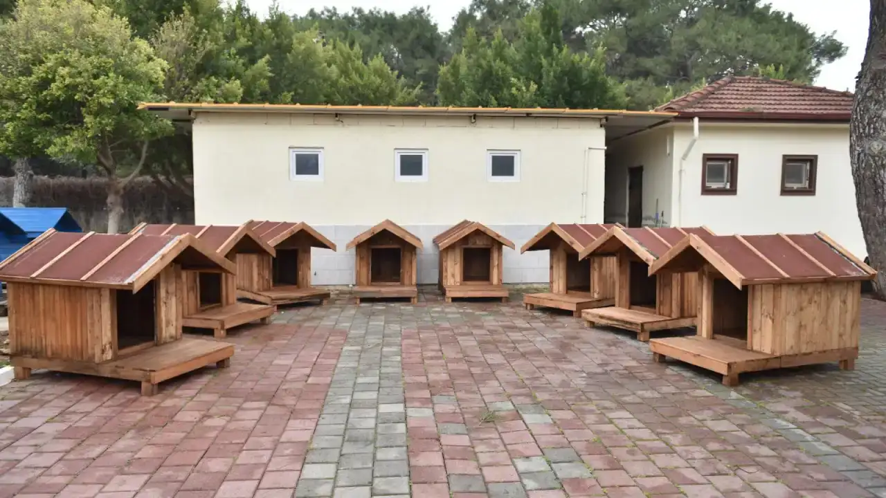 soguk-kista-can-dostlara-sicak-yuva-kepez-belediyesine-kulube-bagisi