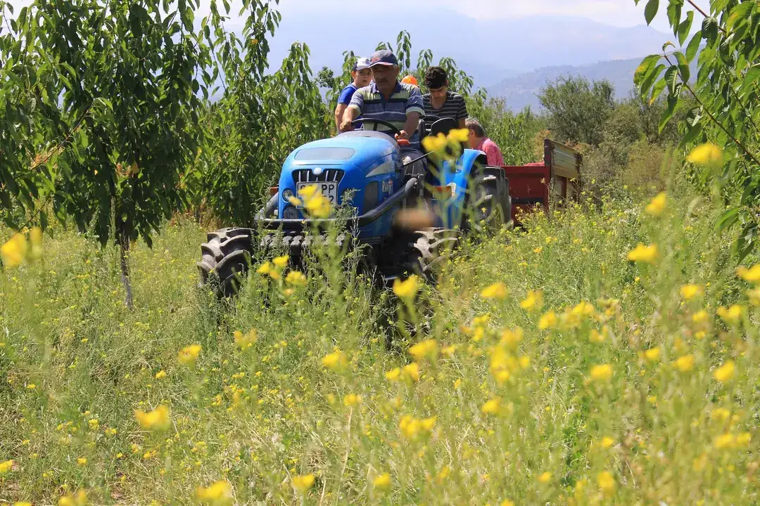 antalya-traktor-sayisini-artirdi-turkiyede-ilk-10da