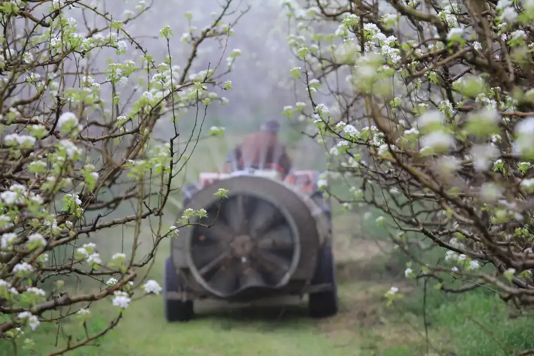 antalya-traktor-sayisini-artirdi-turkiyede-ilk-10da