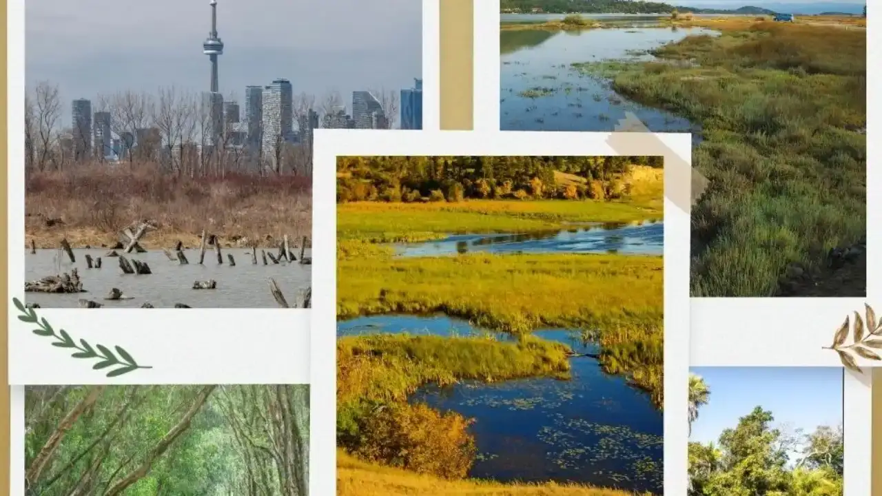 tvhbden-dunya-sulak-alanlar-gunu-uyari-gecikmek-felaket-getirir