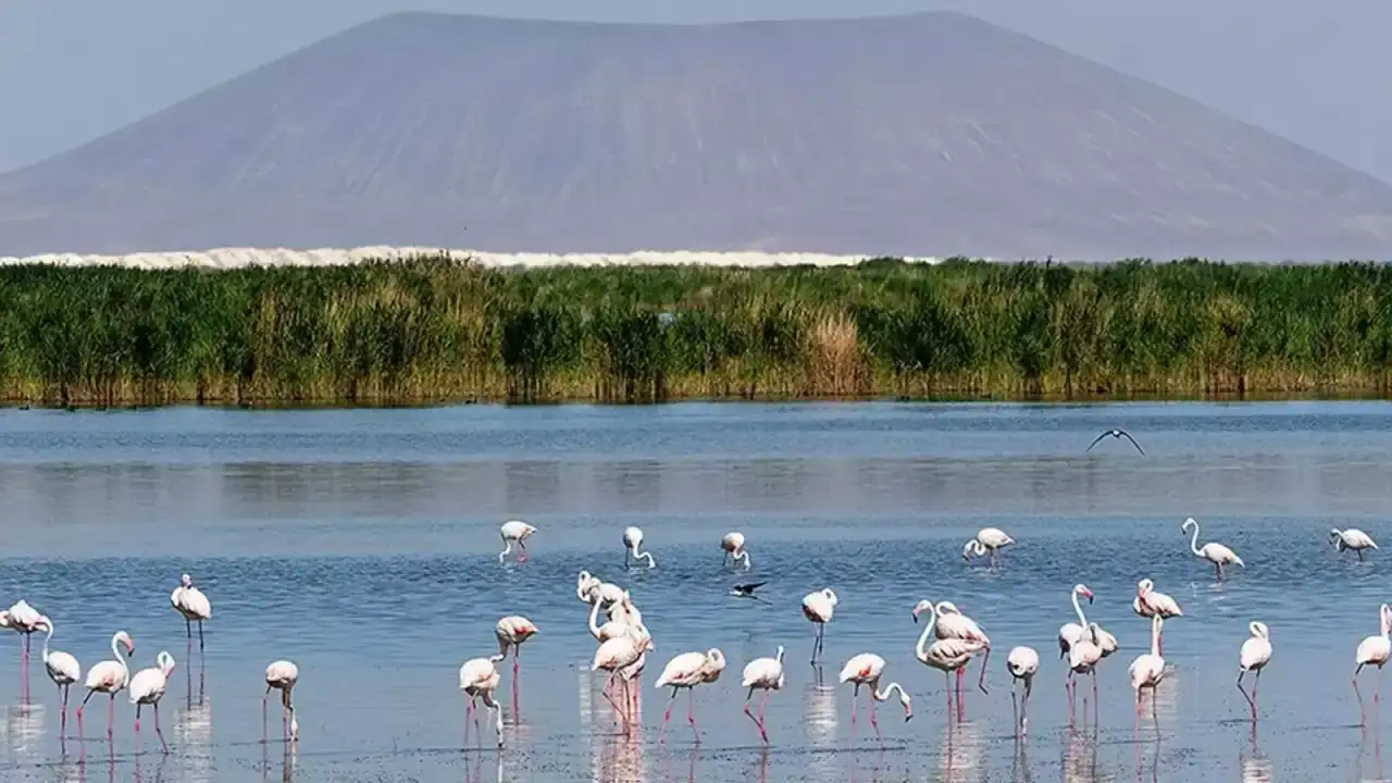 tvhbden-dunya-sulak-alanlar-gunu-uyari-gecikmek-felaket-getirir