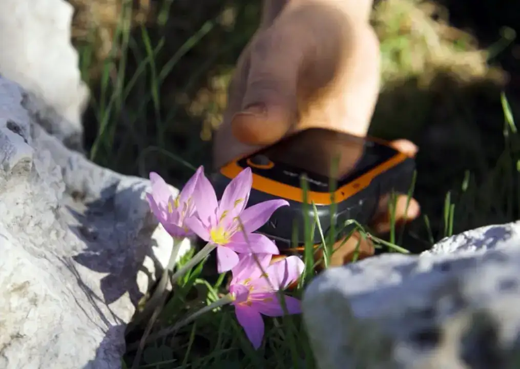 antalyada-orkideler-tehlikede-1-yilda-haritadan-silindiler