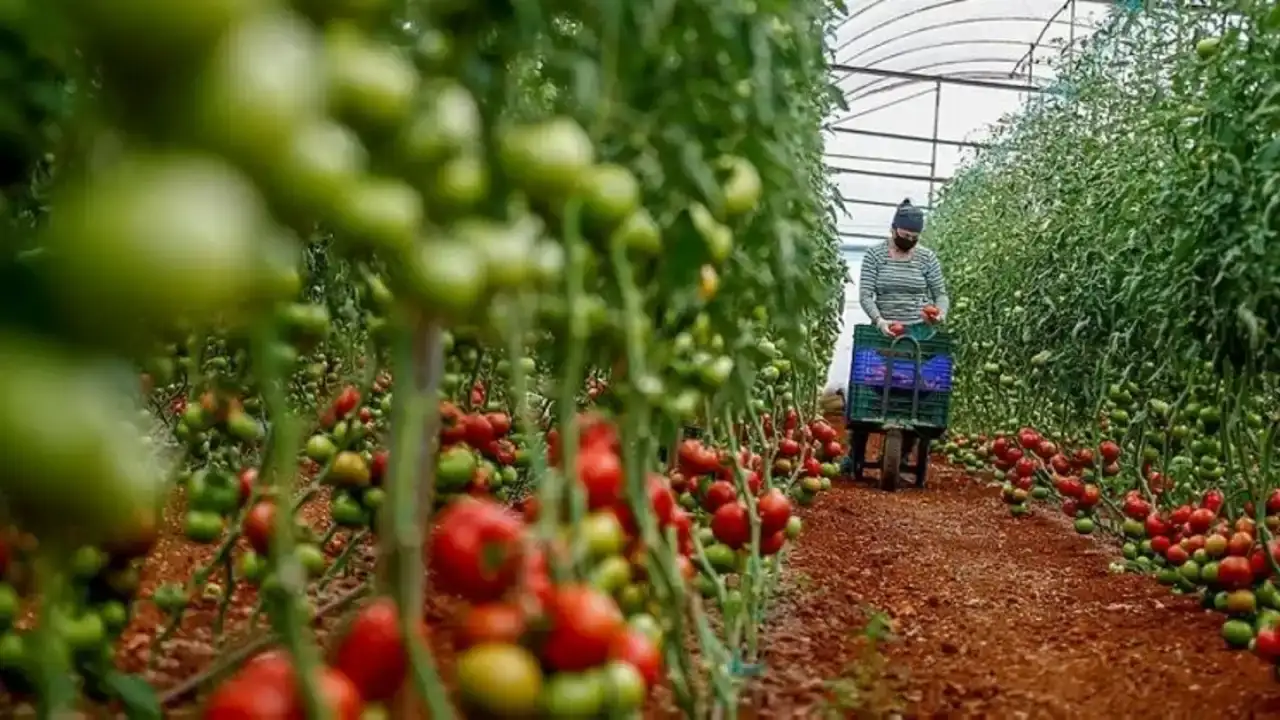 antalyanin-ihracat-karnesi-aciklandi-ocak-ayinda-190-milyon-dolarlik-satis