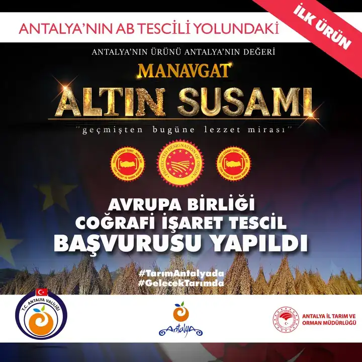 gazipasa-cekirdeksiz-nari-avrupa-birligi-yolunda-antalyadan-ikinci-basvuru-yapildi