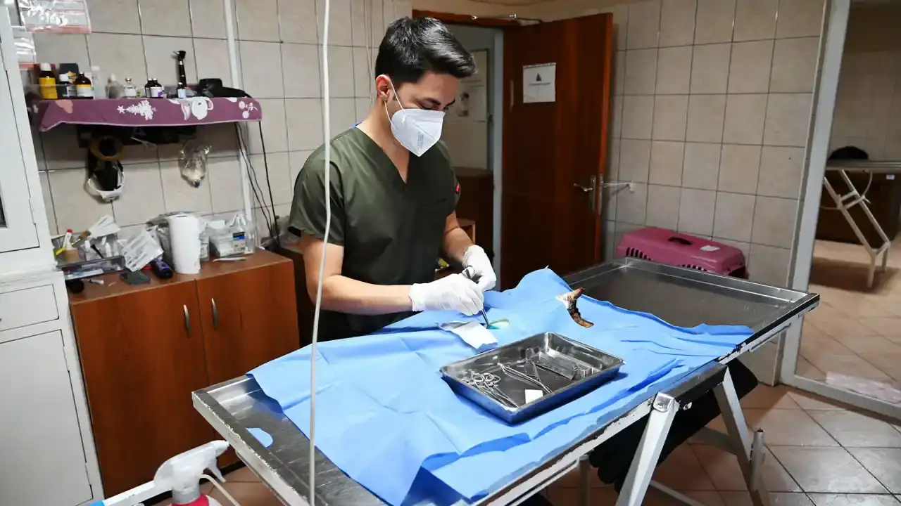 kemerde-can-dostlarina-sefkat-eli