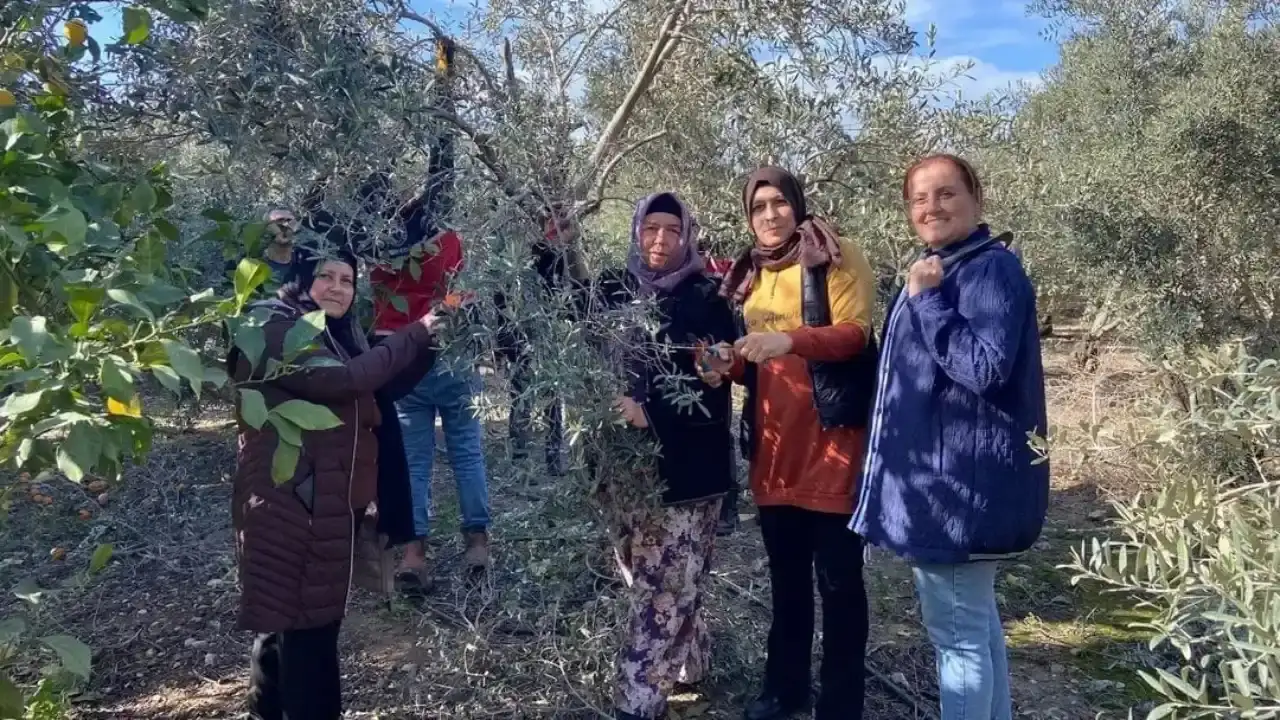 serikte-bilincli-tarim-hamlesi