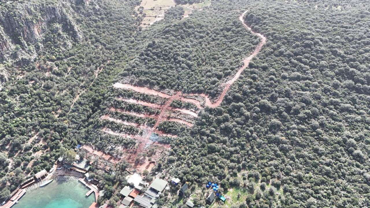 whatsapp-image-2026-02-07-at-18-01-07-1