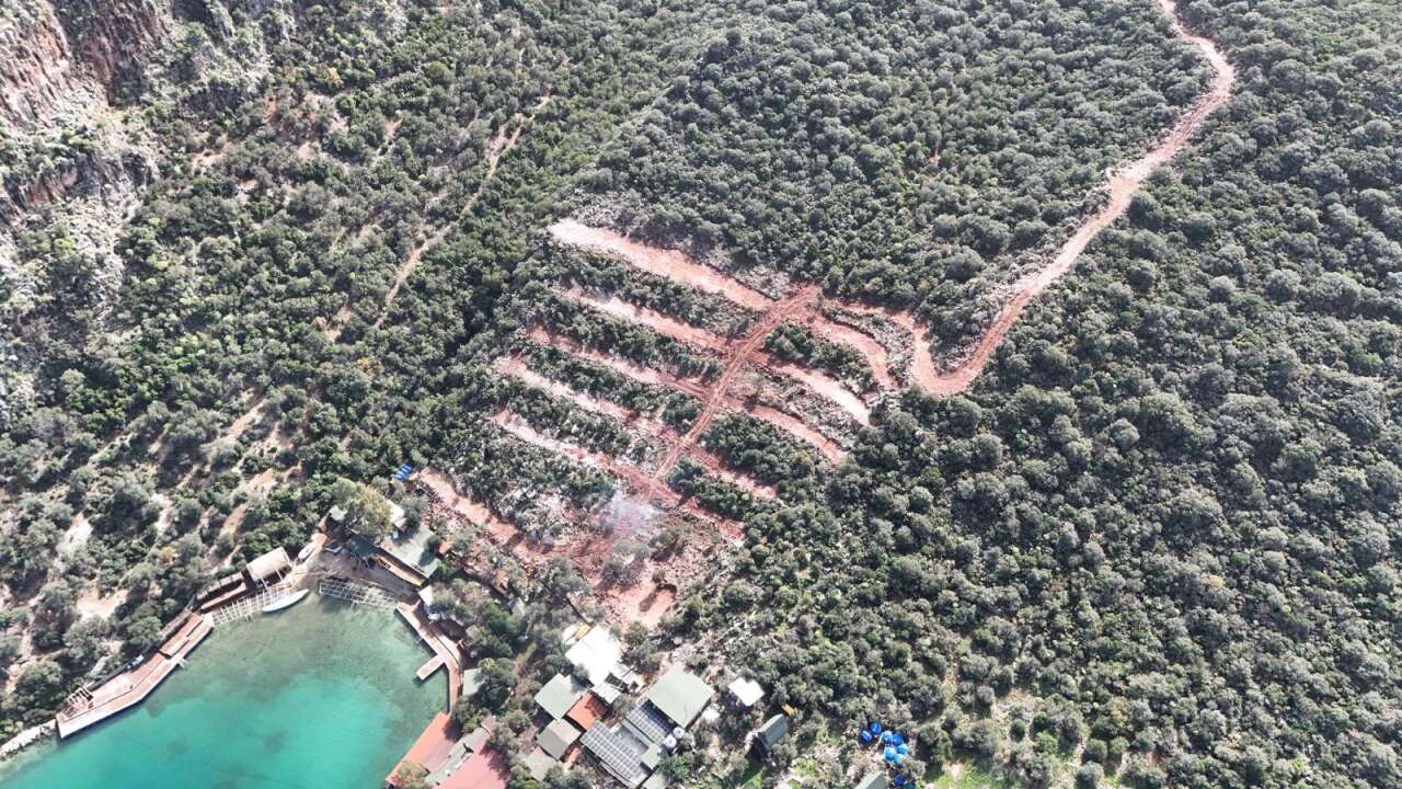 whatsapp-image-2026-02-07-at-18-01-07-2