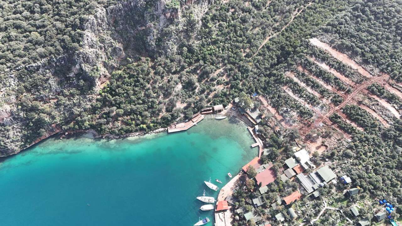 whatsapp-image-2026-02-07-at-18-01-08