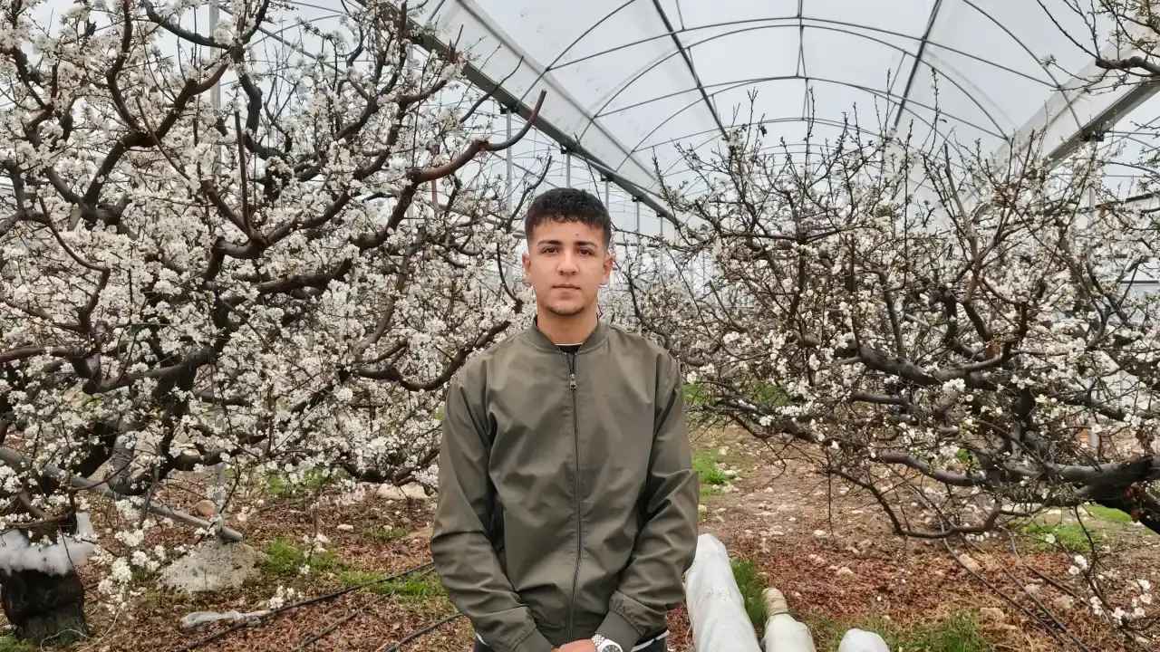 kisin-ortasinda-mersindeki-erik-agaclari-cicek-acti