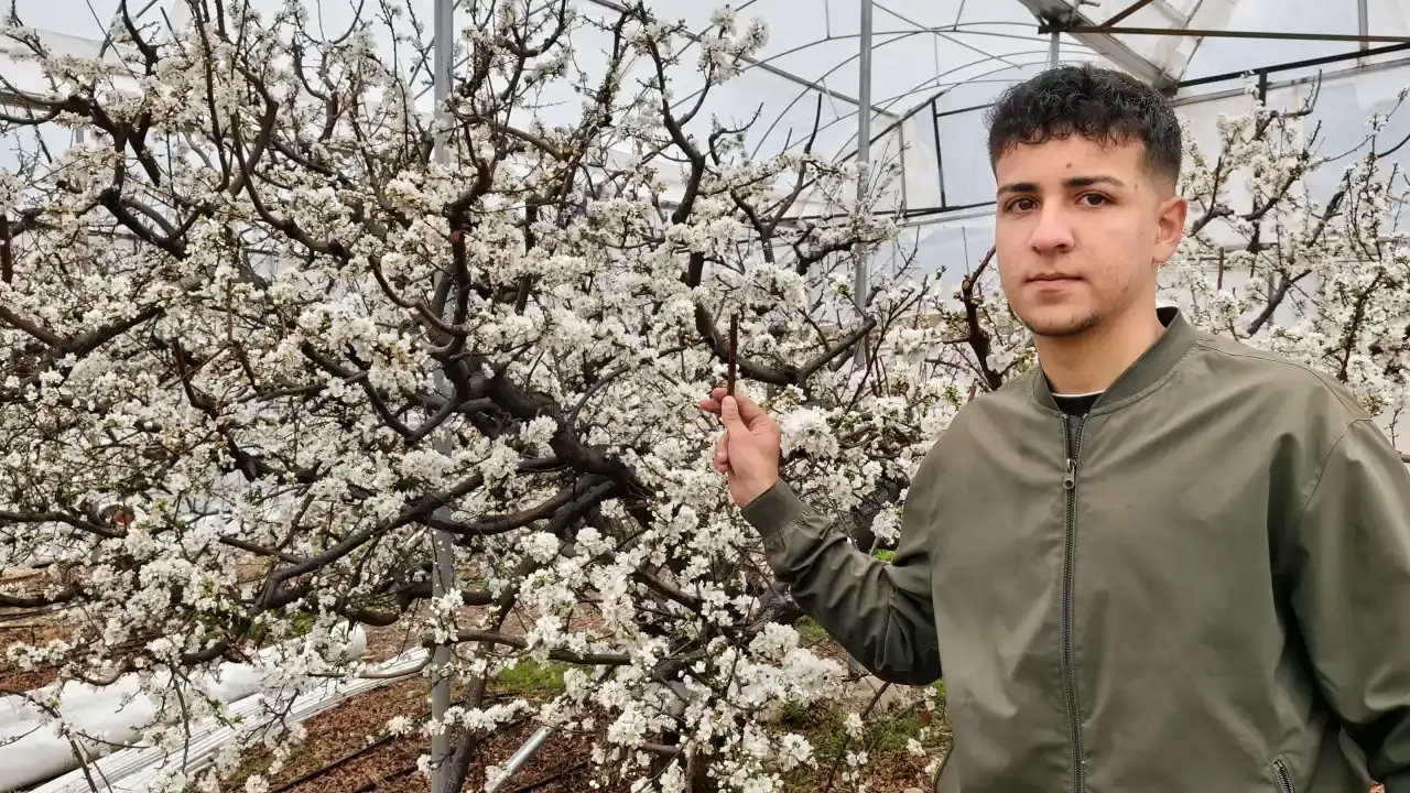 kisin-ortasinda-mersindeki-erik-agaclari-cicek-acti